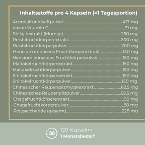 Viktilabs MykoBalance Pilzkomplex Info 1 [lang-de]