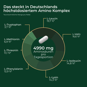 viktilabs-amino-8-infografik-ingredients [lang-de]