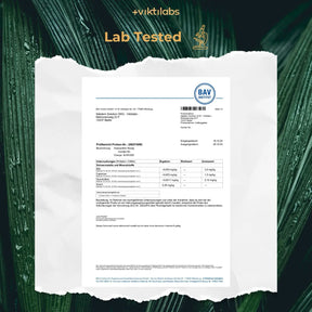 viktilabs-astaxanthin-zertifikat-1 [lang-en]