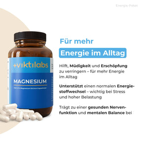 viktilabs-bundle-energie-paket-produkt-3 [lang-de]
