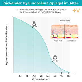 viktilabs-hyaluronsäure-infografik-haut [lang-de]