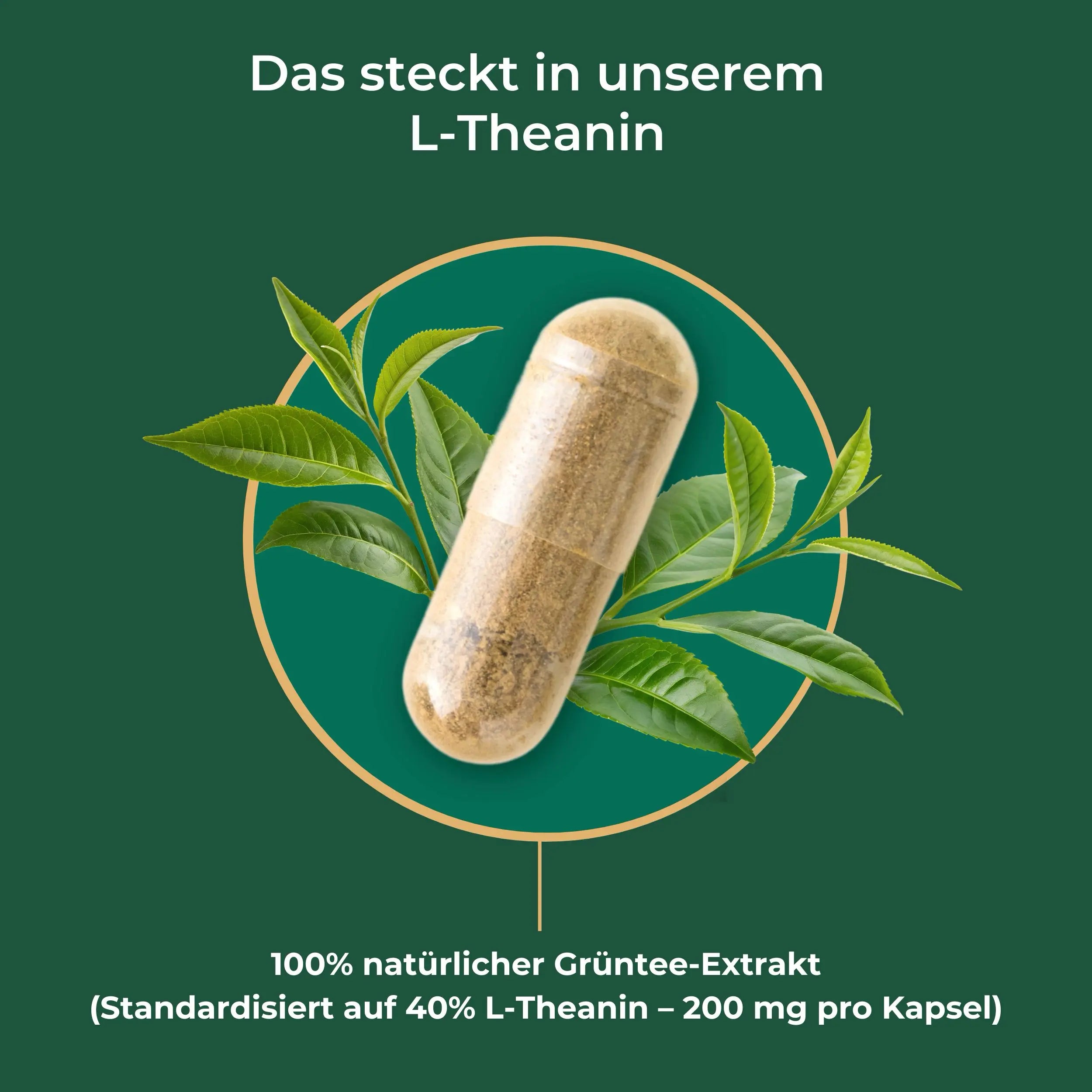 viktilabs-l-theanine-infographic-ingredients [lang-en]