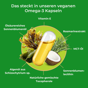 viktilabs-omega-3-vegane-kapseln-infografik-inhaltsstoffe [lang-de]