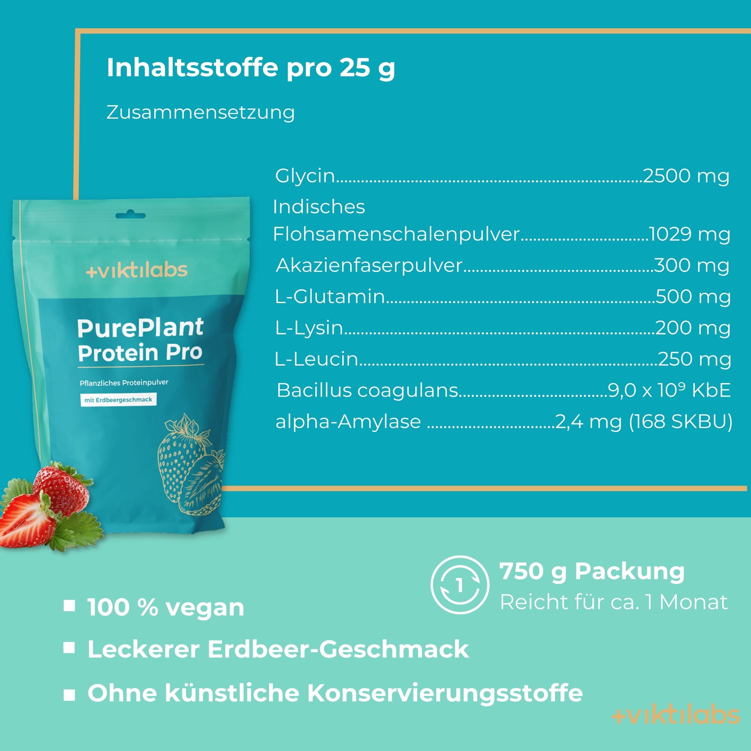 viktilabs-pureplant-protein-pro-infografik [lang-de]