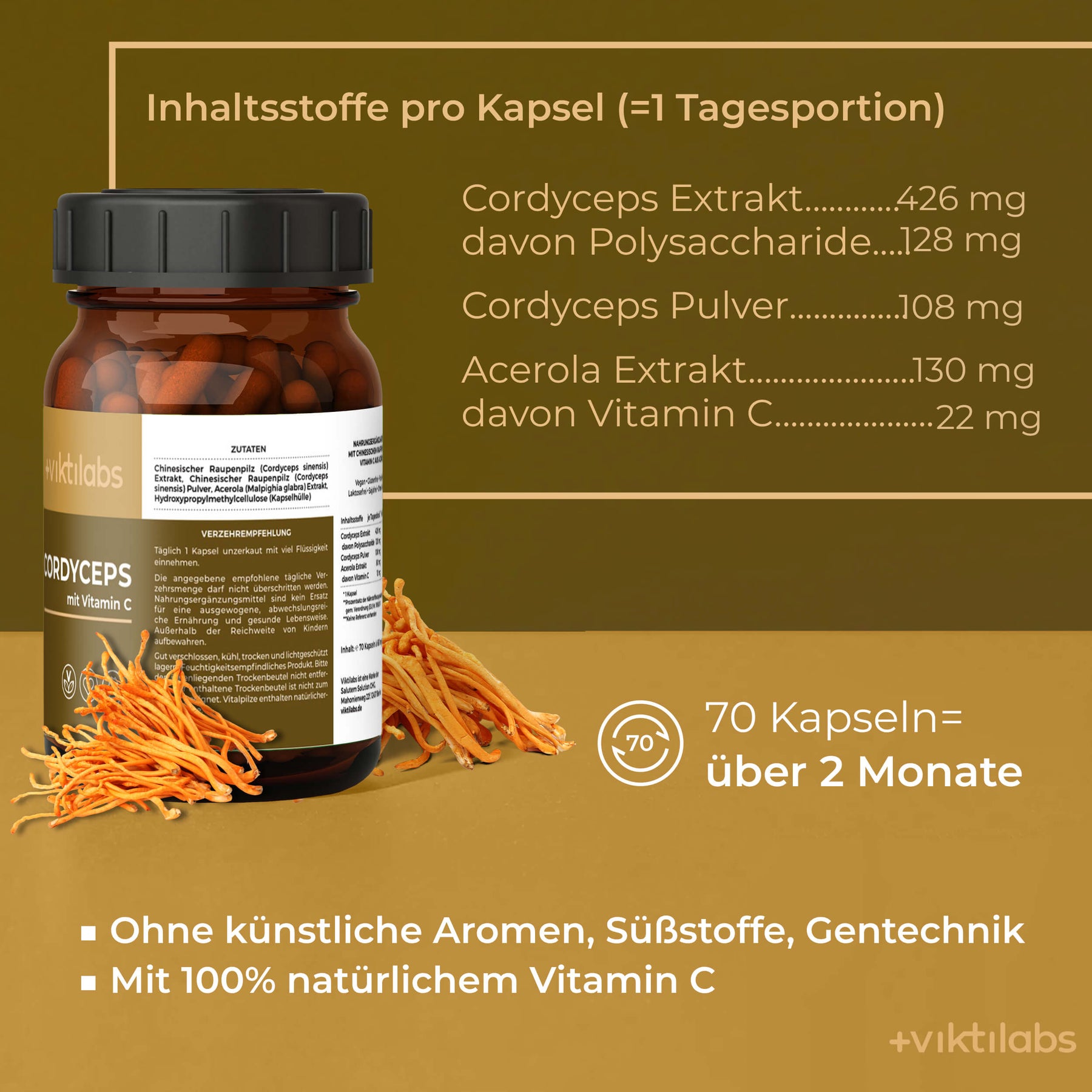 05-vikti-cordyceps [lang-de]