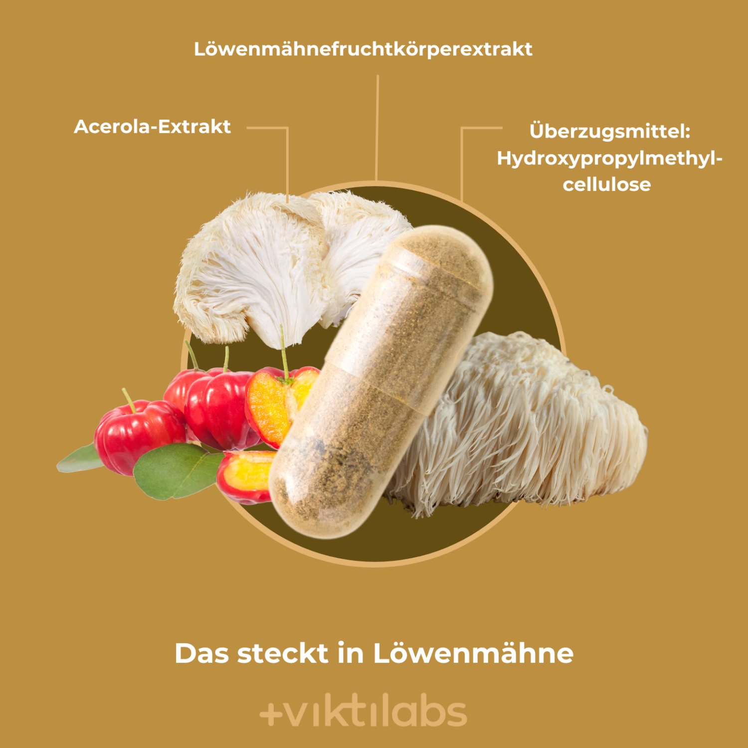 4 3 [lang-de]