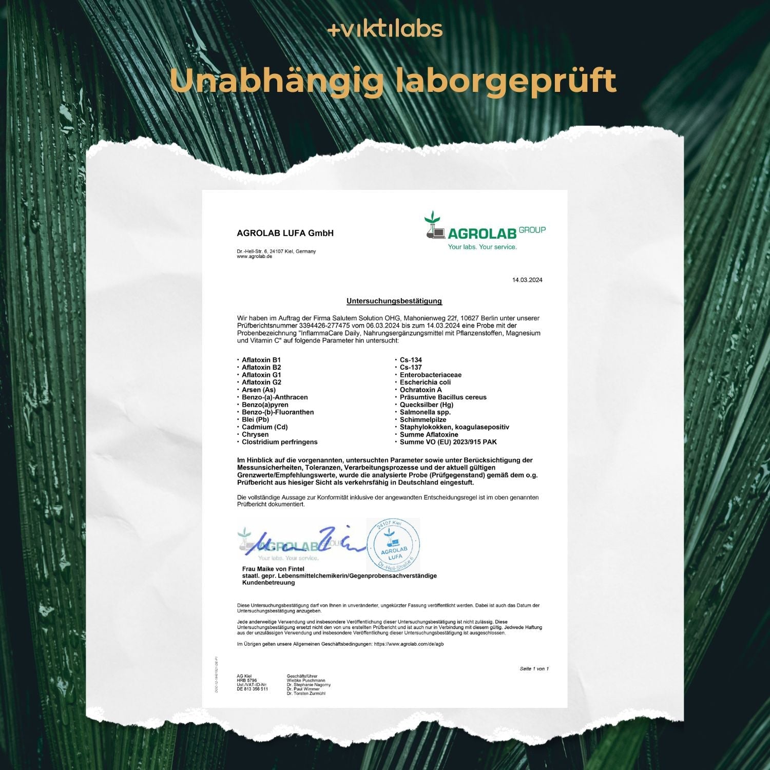 Viktilabs Analyse Untersuchung 2024 Inflammacare [lang-de]