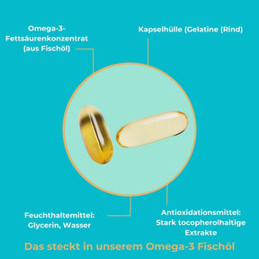 Viktilabs Omega 3 Fischoel Info 6 [lang-de]