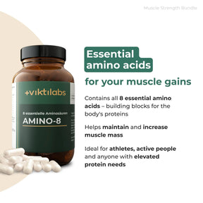 viktilabs-bundle-muskelkraft-paket-produkt-1 [lang-en]