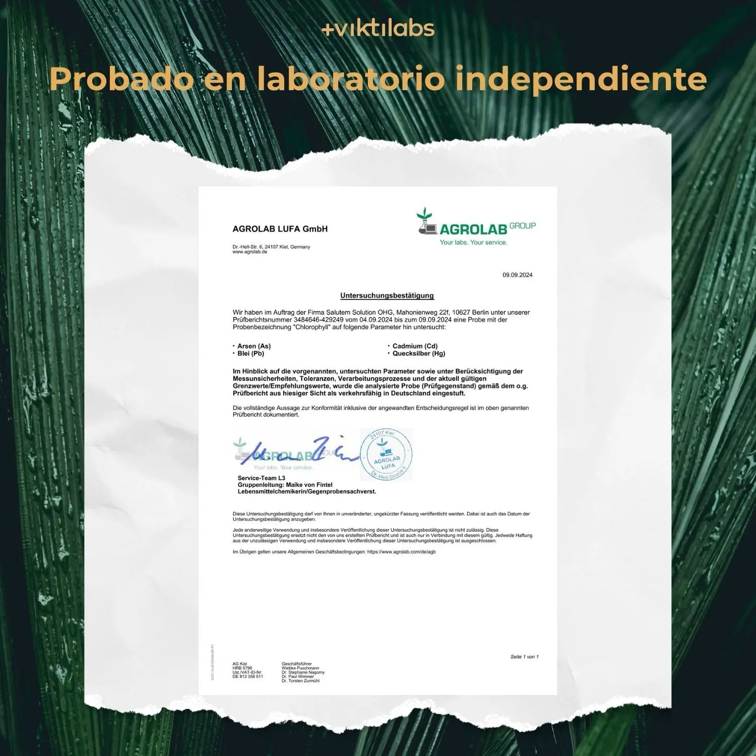 viktilabs-chlorophyll-zertifikat-1 [lang-es]