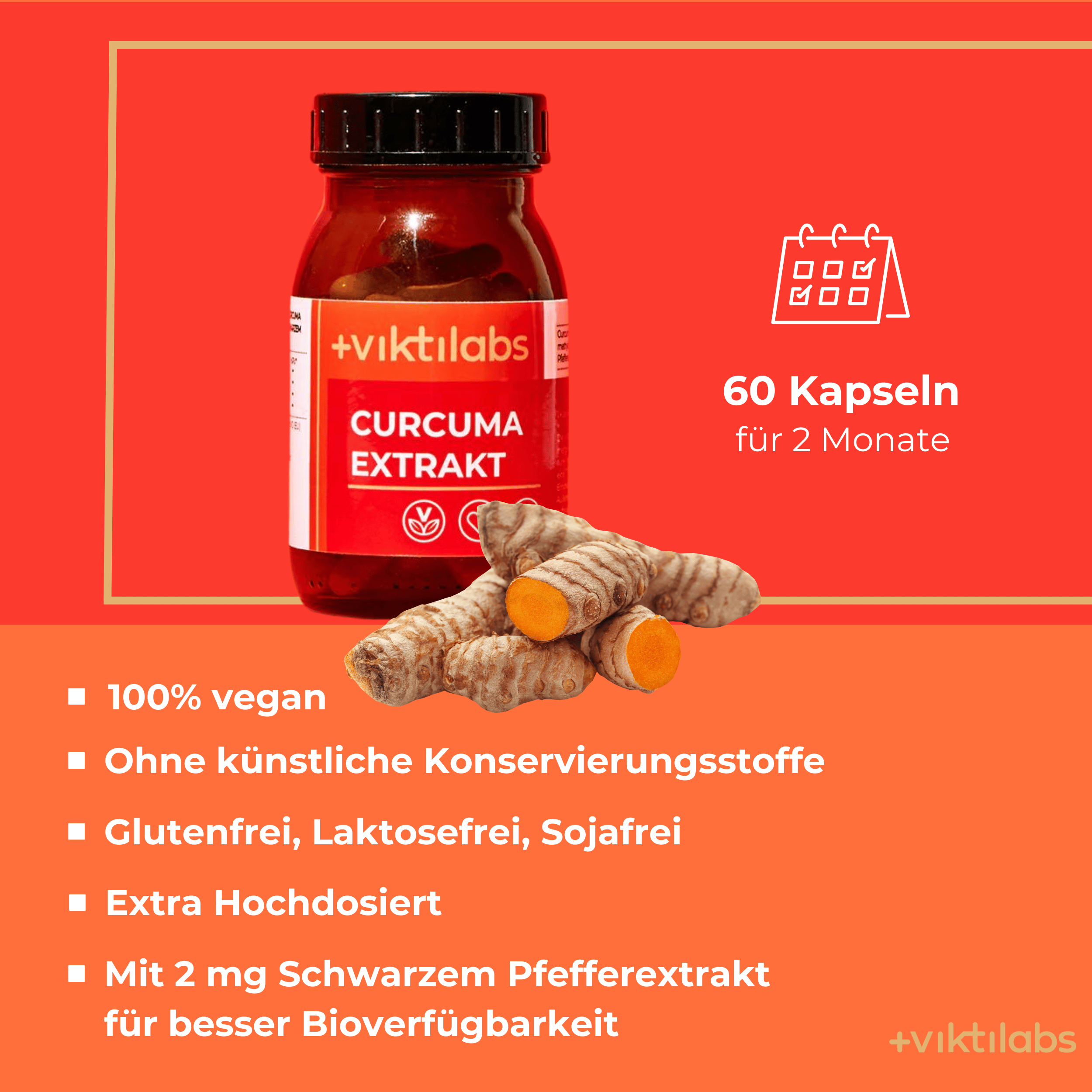 Viktilabs