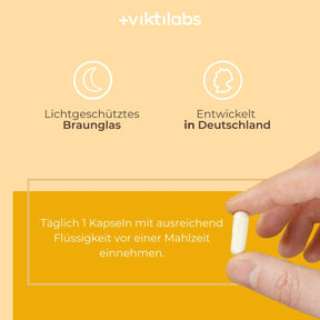 viktilabs-folsäure-infografik-anwendung [lang-de]