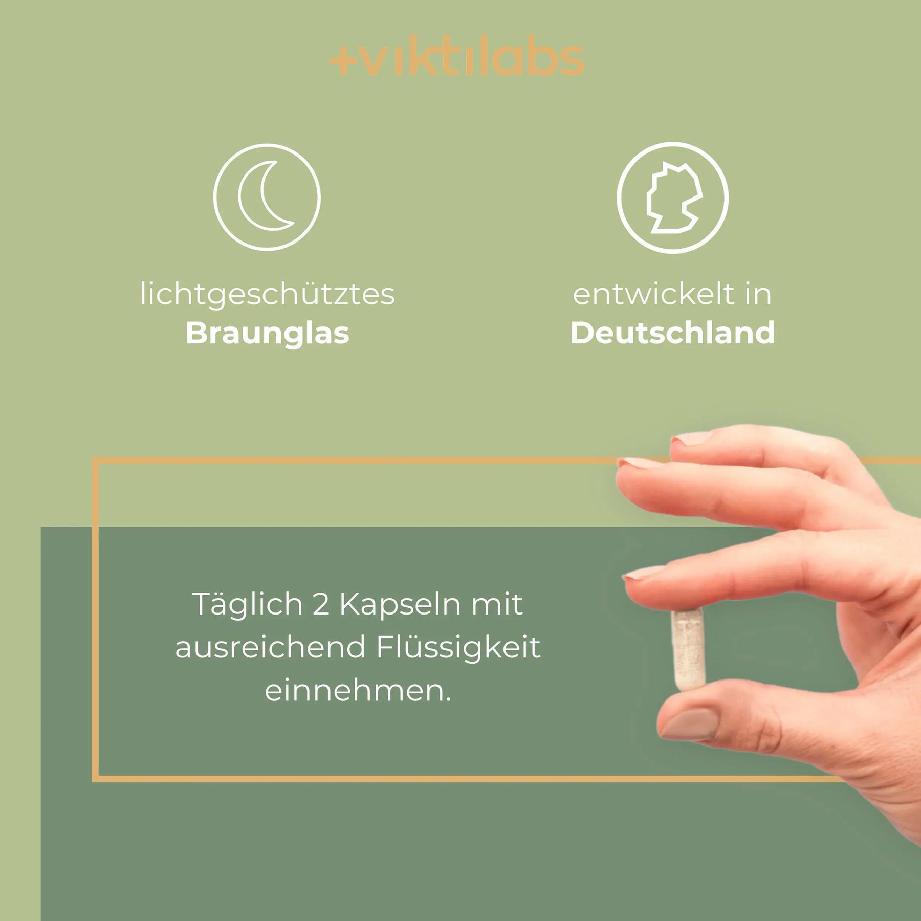 viktilabs-haarvital-komplex-infografik-anwendung [lang-de]