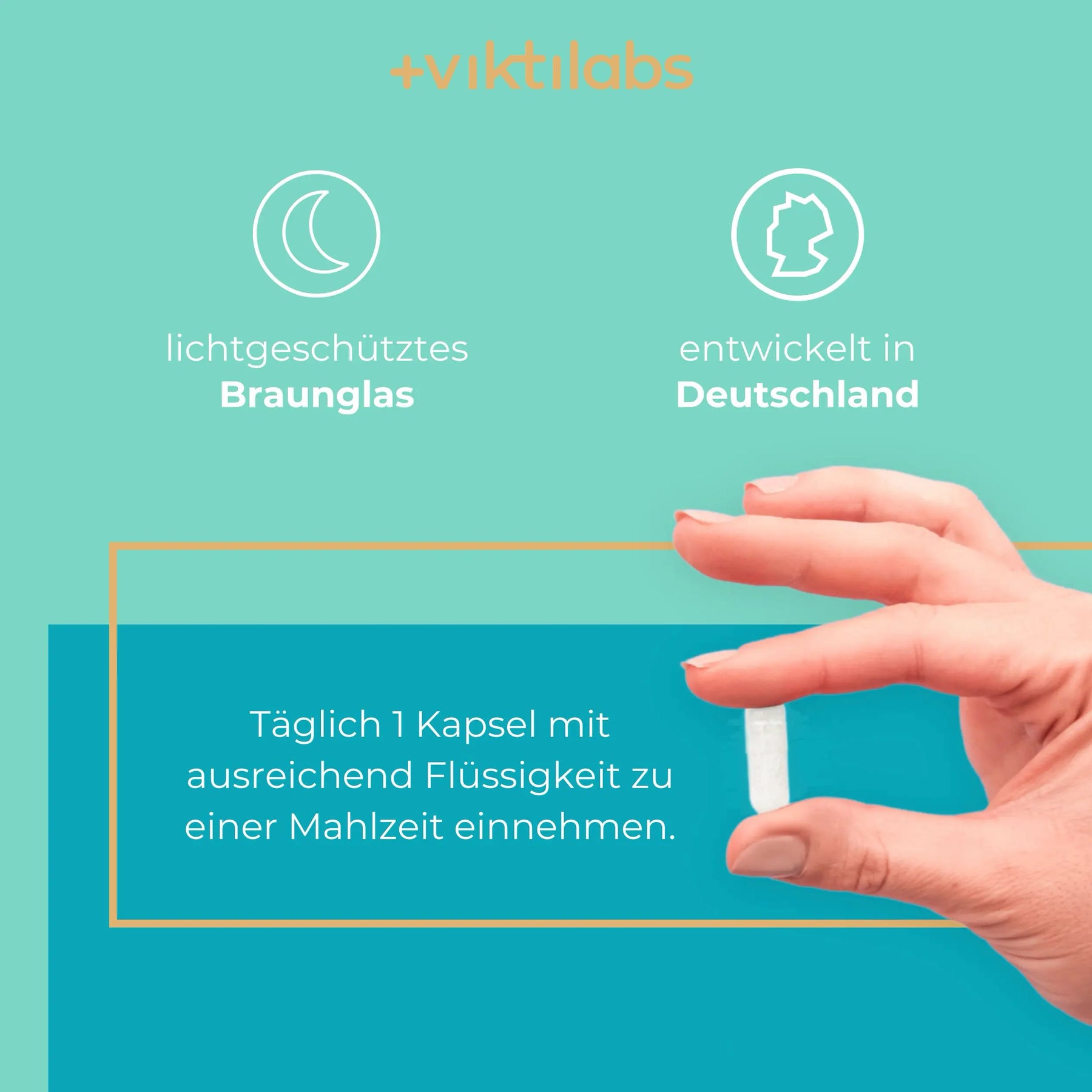 viktilabs-hyaluronsäure-infografik-anwendung [lang-de]