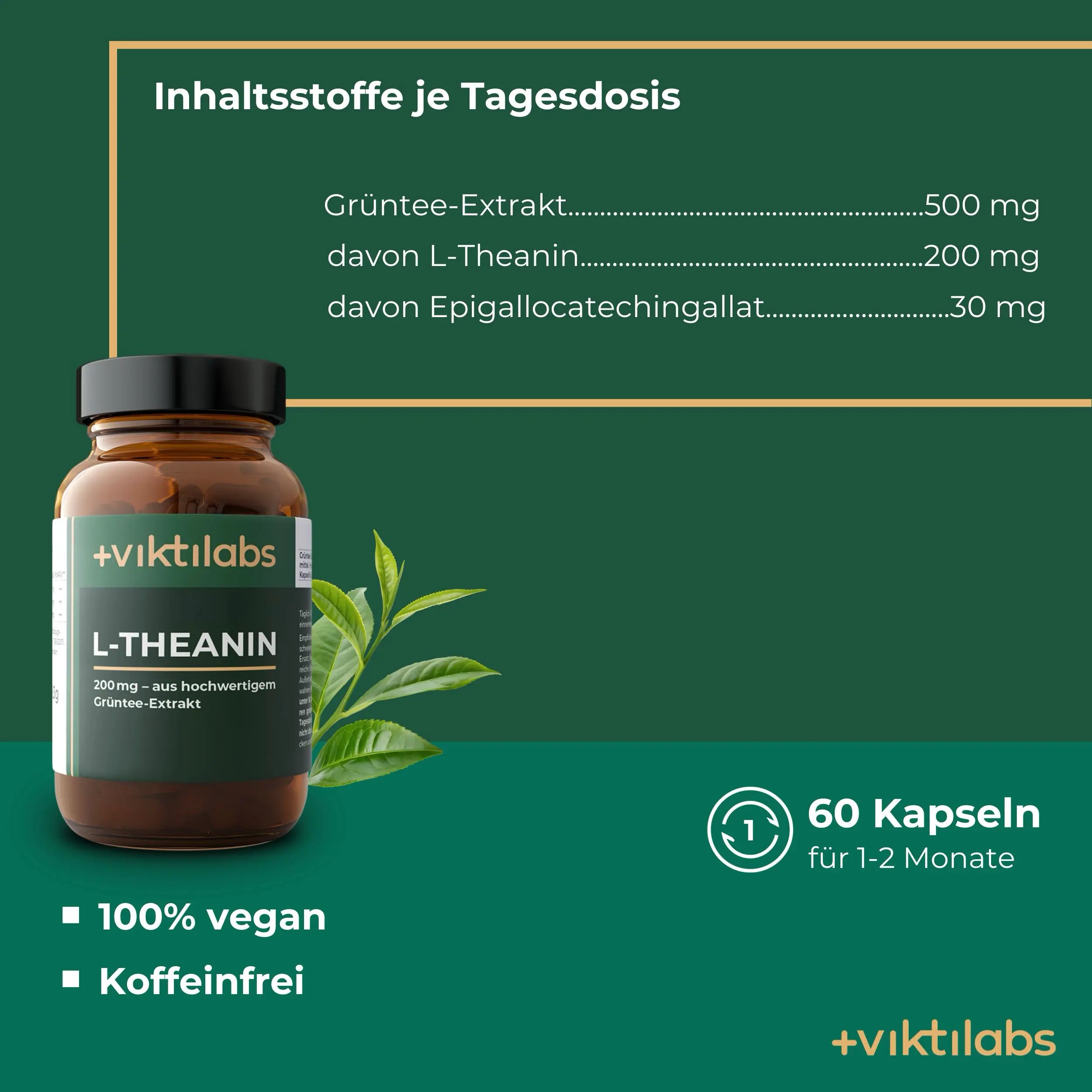 viktilabs-l-theanine-infographic-ingredients-per-10g [lang-en]