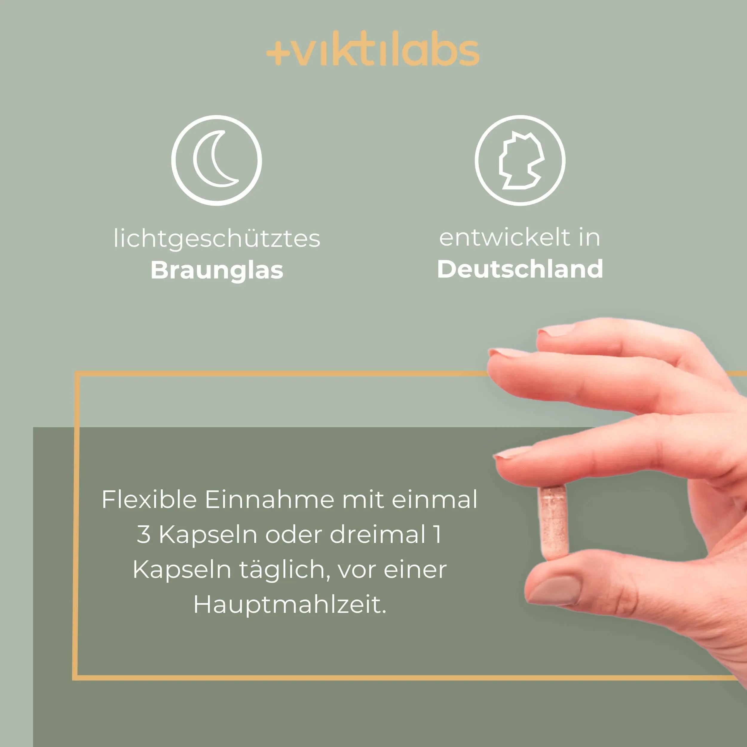 viktilabs-leber-komplex-infografik-anwendung [lang-de]
