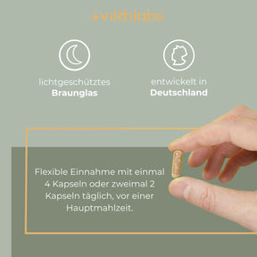 viktilabs-leber-komplex-infografik-anwendung [lang-de]