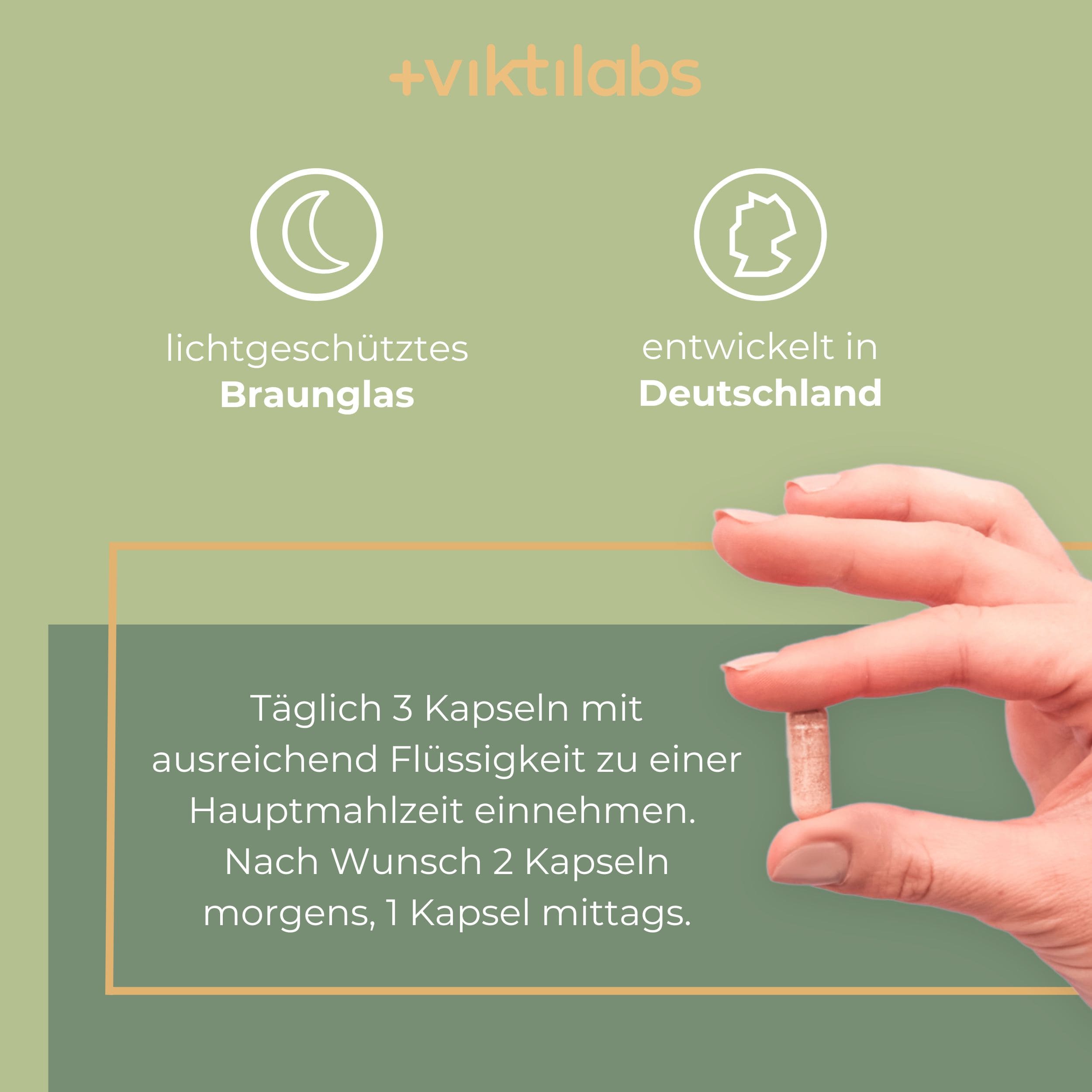Viktilabs