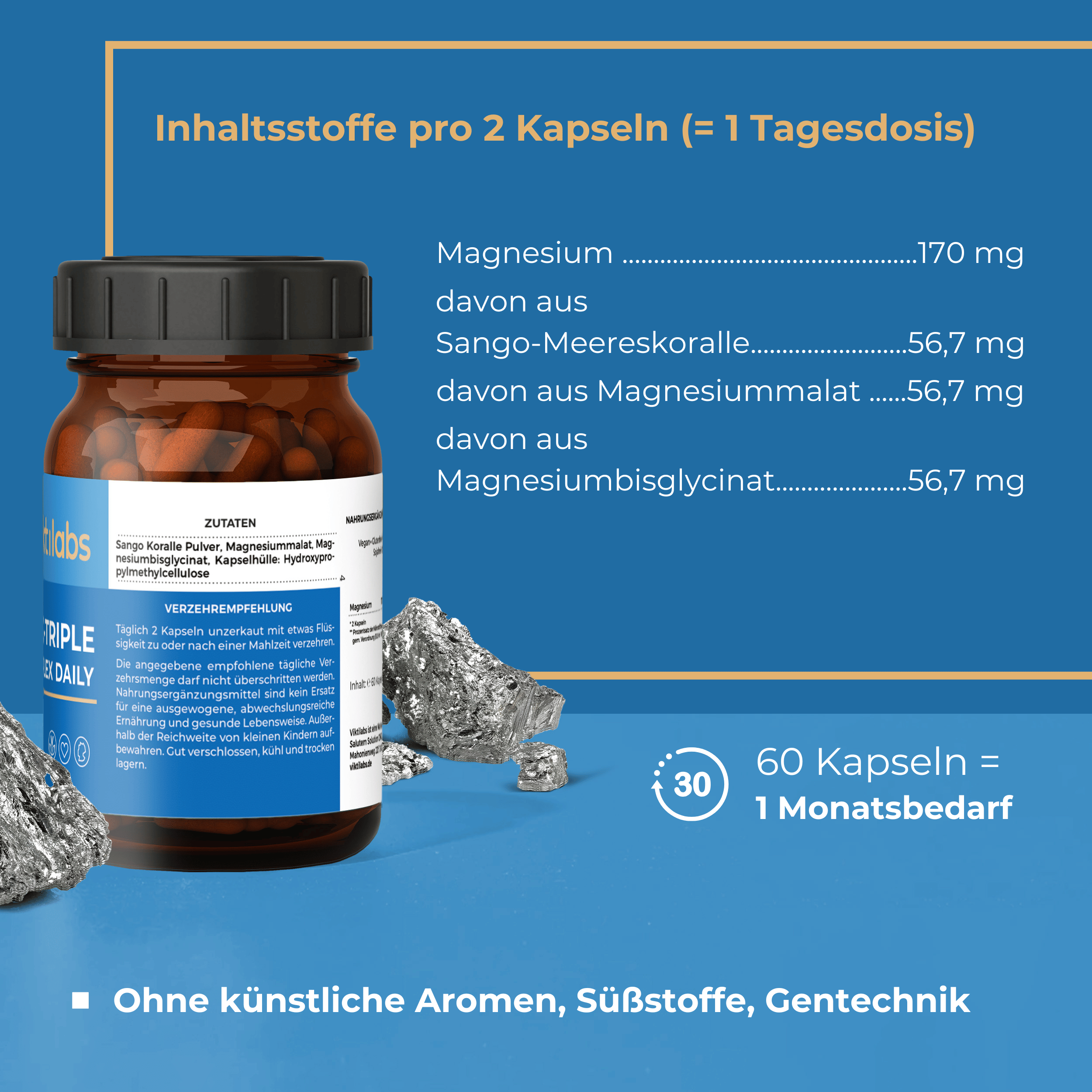 Viktilabs