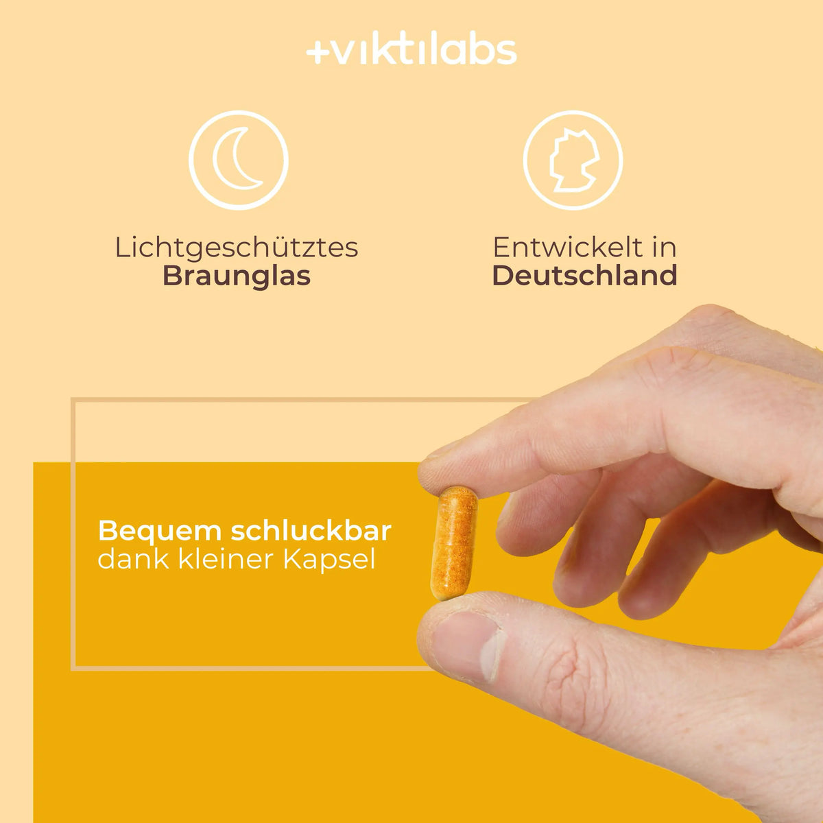 viktilabs-vitamin-B-komplex-forte-infografik-anwendung [lang-de]