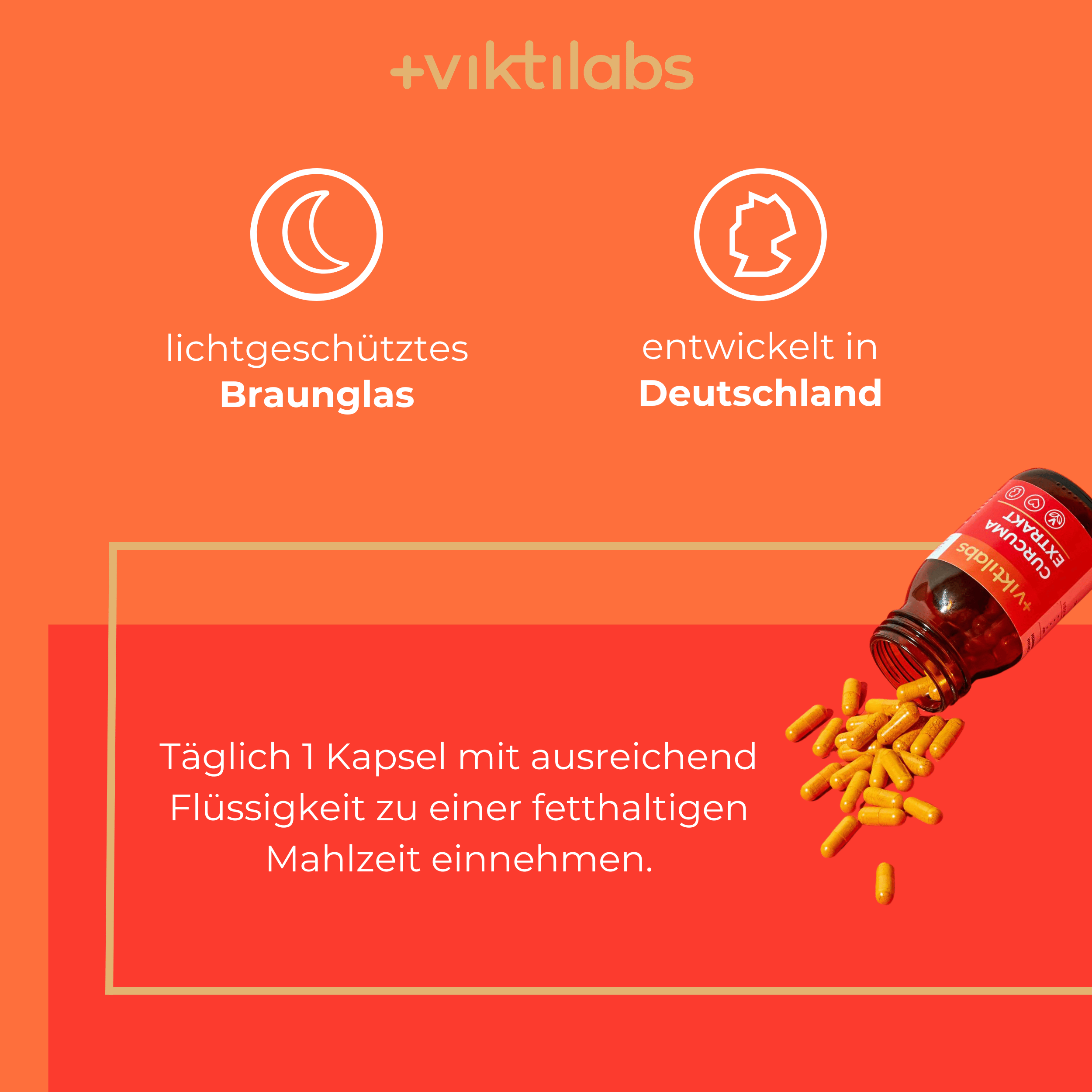 Viktilabs