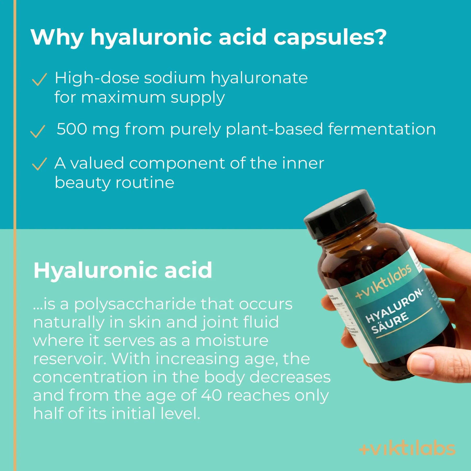 viktilabs-hyaluronsäure-infografik-why-our-product [lang-en]