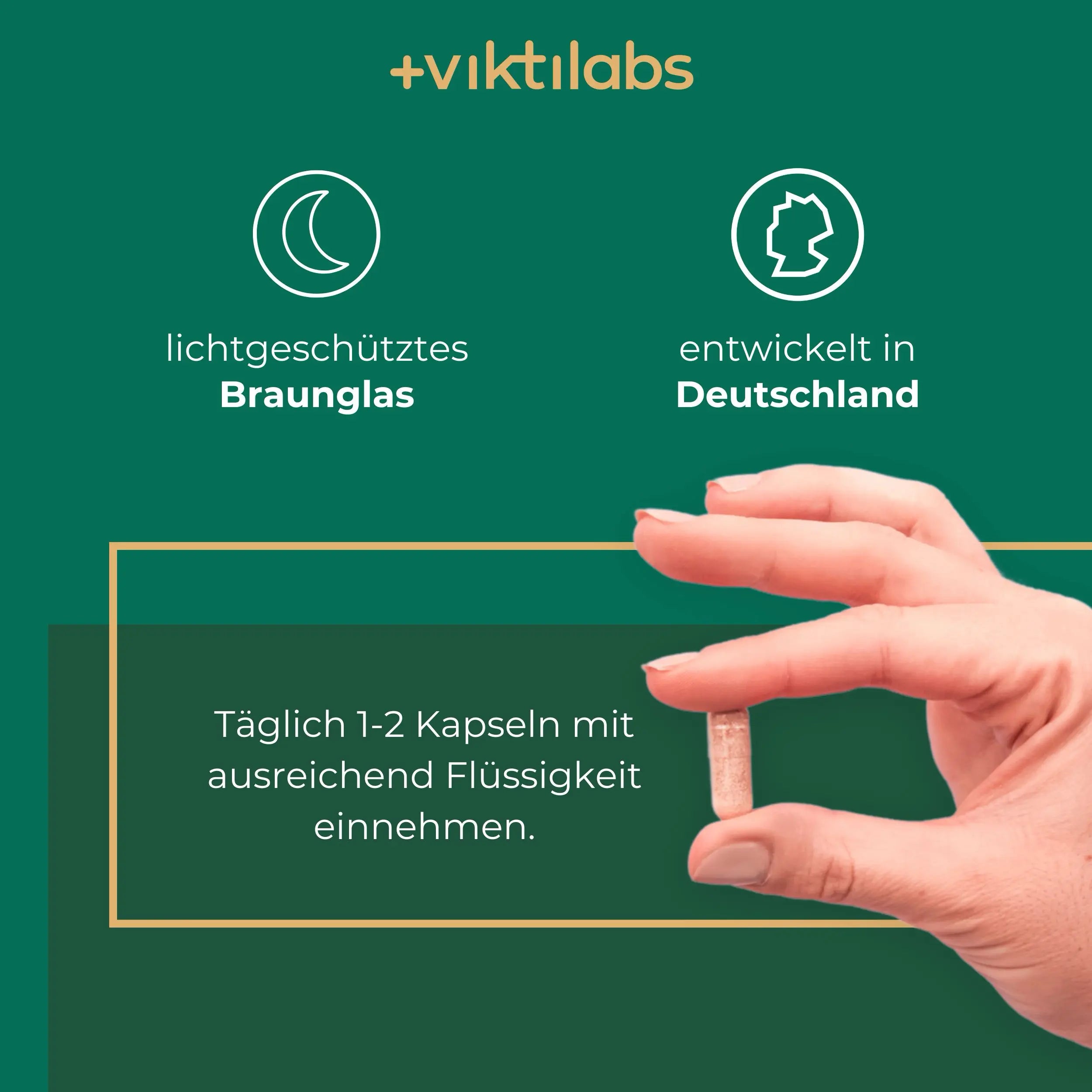 viktilabs-l-theanine-infographic-application [lang-en]