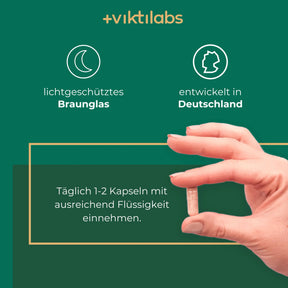viktilabs-l-theanin-infografik-anwendung [lang-de]
