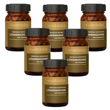 Lion's Mane (Hericium erinaceus) Information Series (60 Capsules)