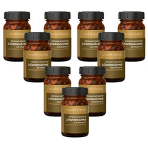 Lion's Mane (Hericium erinaceus) Information Series (60 Capsules)