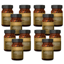 Lion's Mane (Hericium erinaceus) Information Series (60 Capsules)