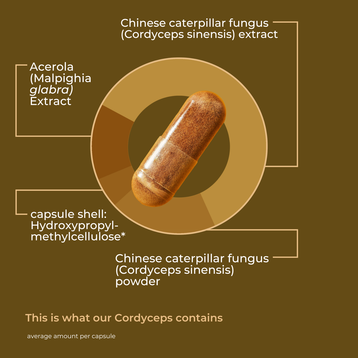 English Cordyceps 1 [lang-en]