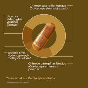 English Cordyceps 1 [lang-en]