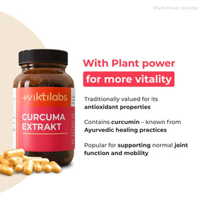 viktilabs-bundle-pflanzenpower-paket-produkt-3 [lang-en]