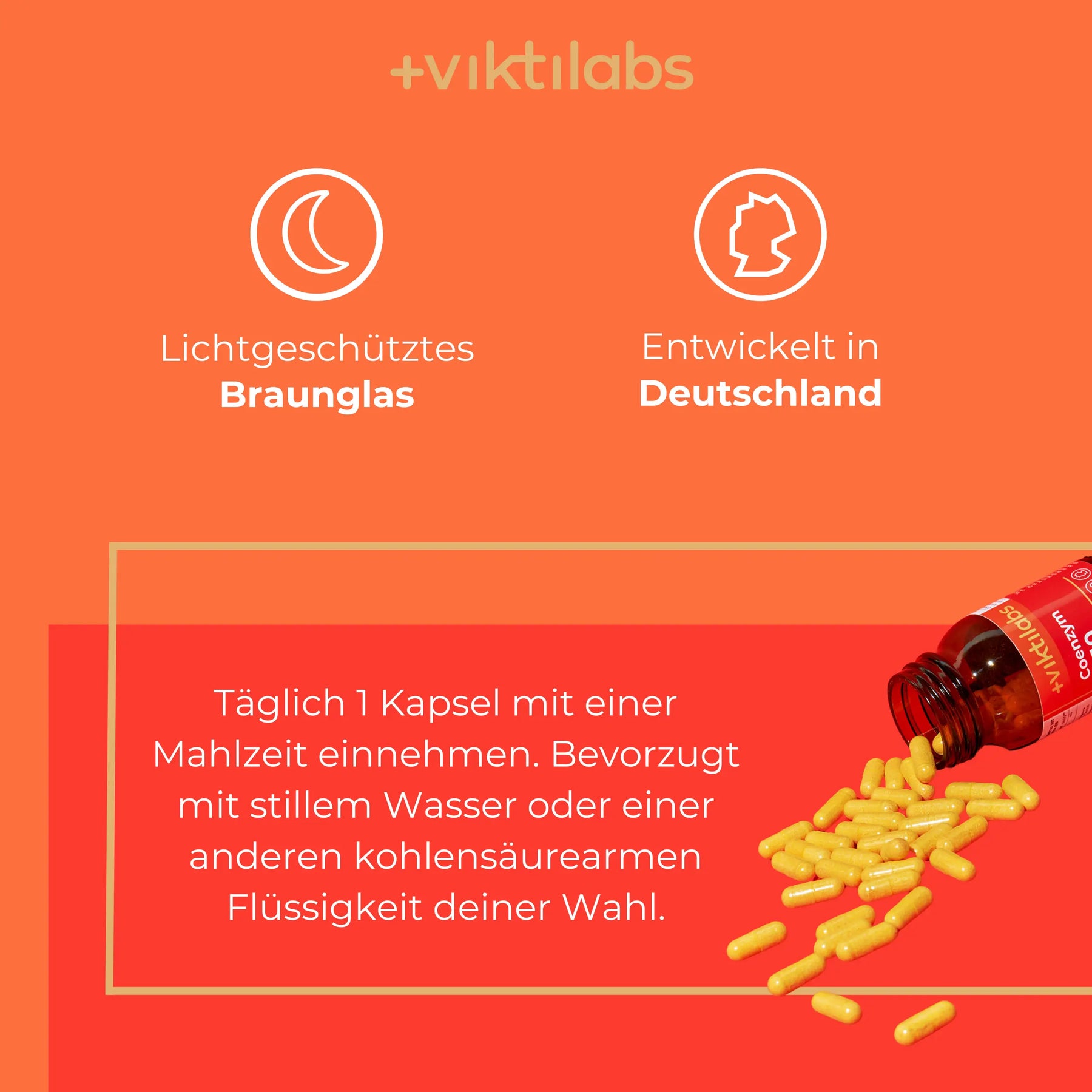 viktilabs-coenzym-q10-infografik-anwendung [lang-de]
