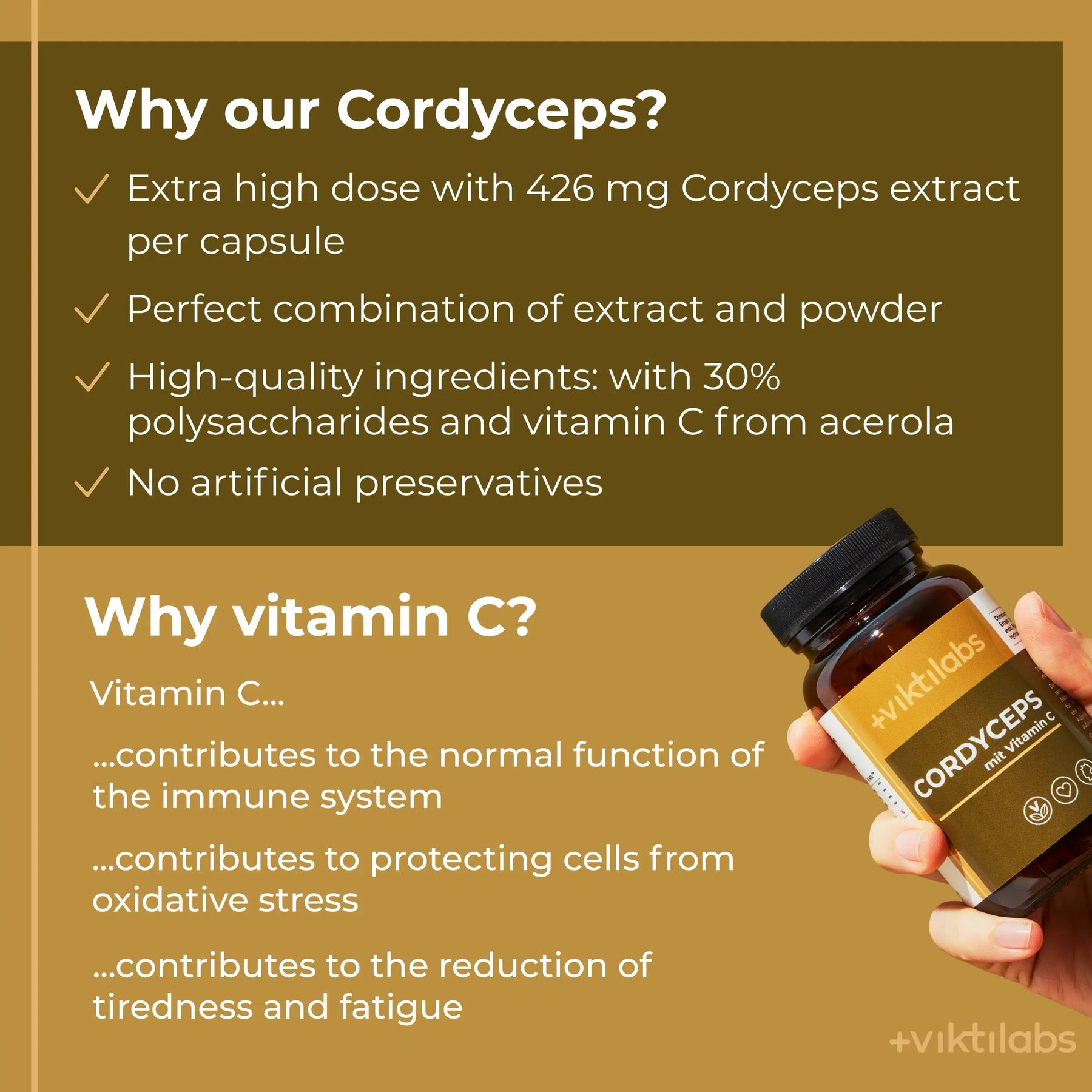 viktilabs-cordyceps-infografik-why-our-product [lang-en]