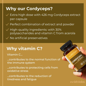 viktilabs-cordyceps-infografik-why-our-product [lang-en]