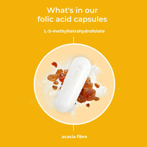 viktilabs-folsäure-infografik-inhaltsstoffe [lang-en]