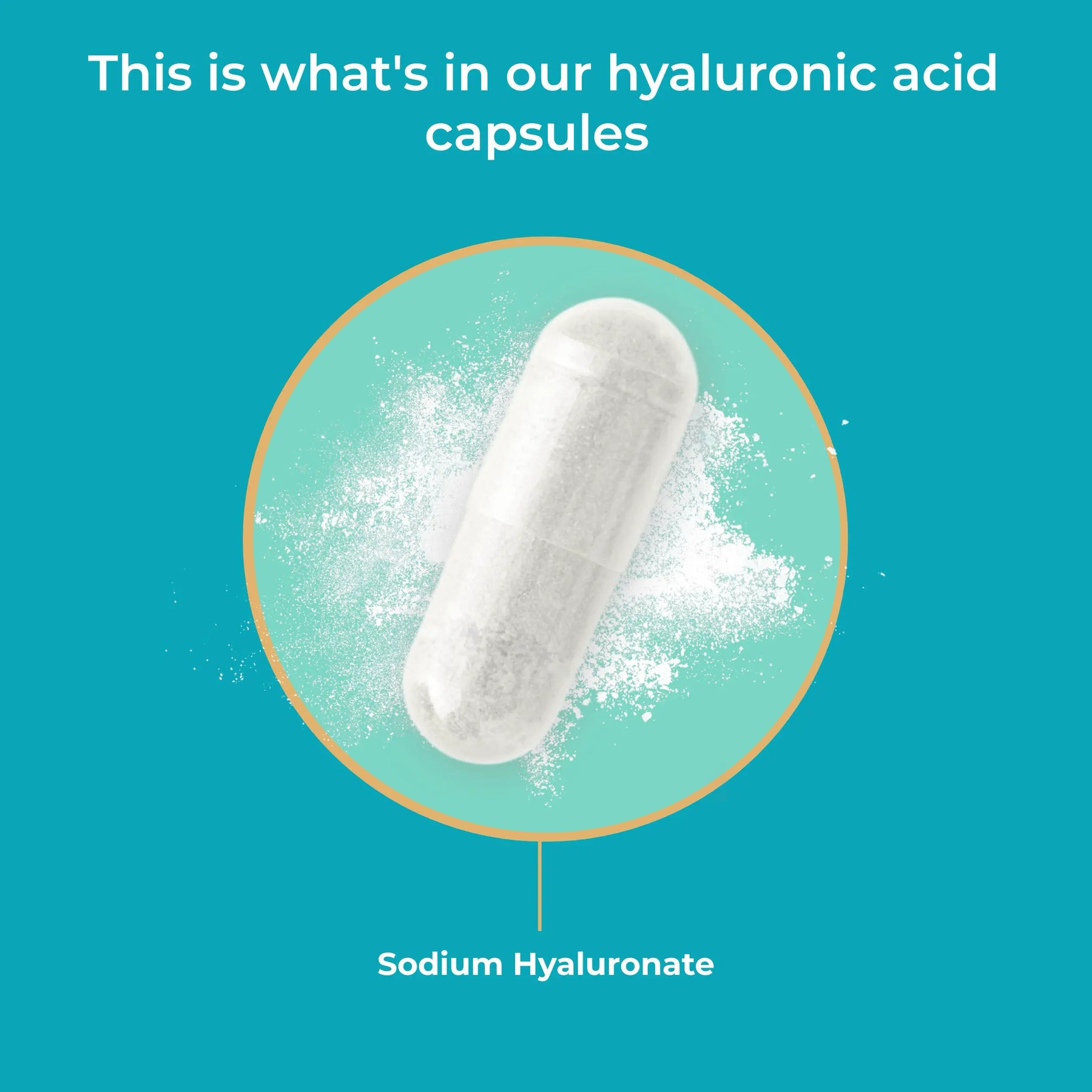 viktilabs-hyaluronsäure-infografik-ingredients [lang-en]