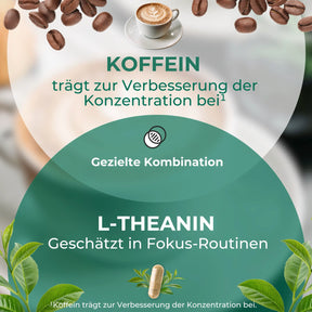 viktilabs-l-theanin-infografik-Wirksamkeit [lang-de]