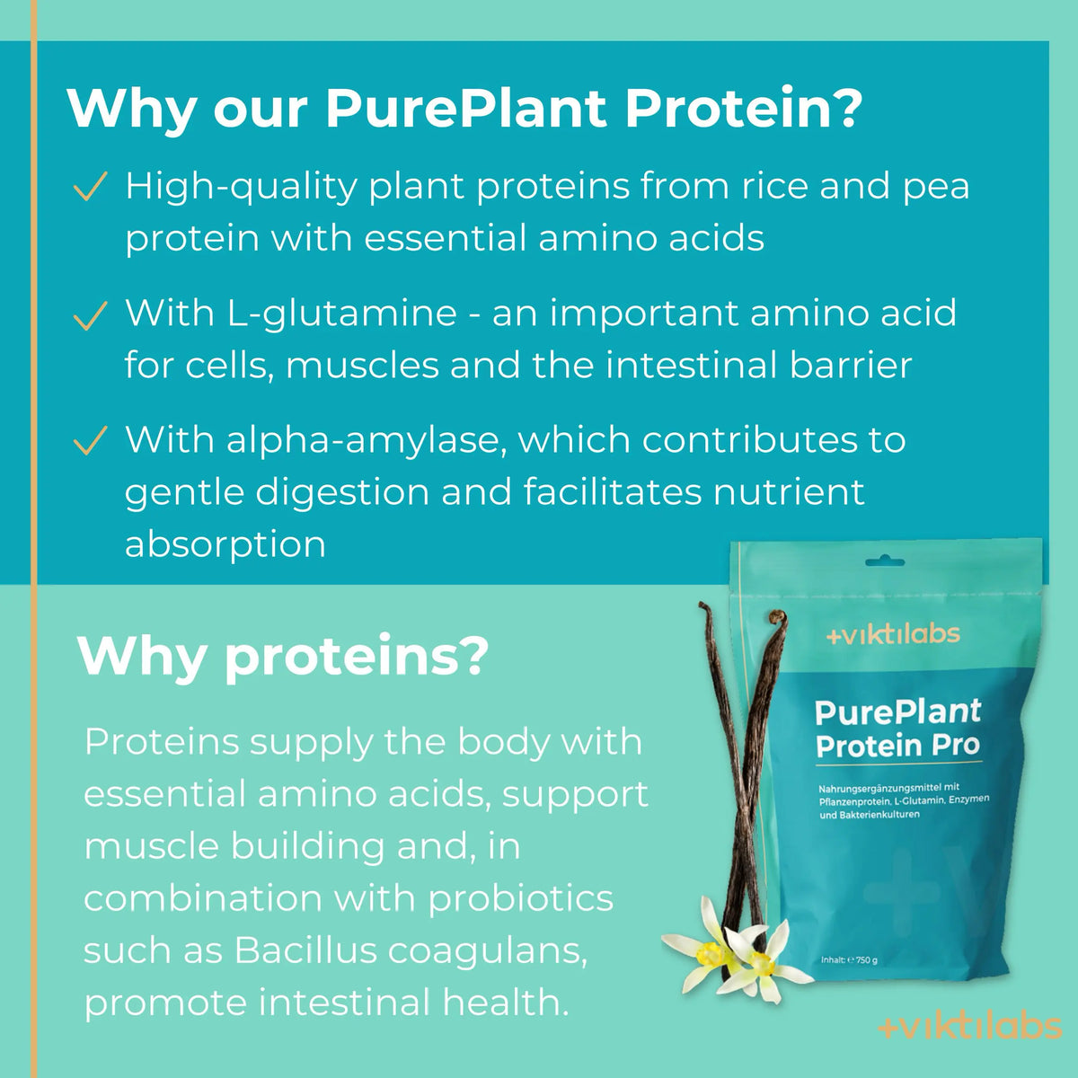 viktilabs-pure-plant-protein-pro-vanille-infografik-why-our-product [lang-en]