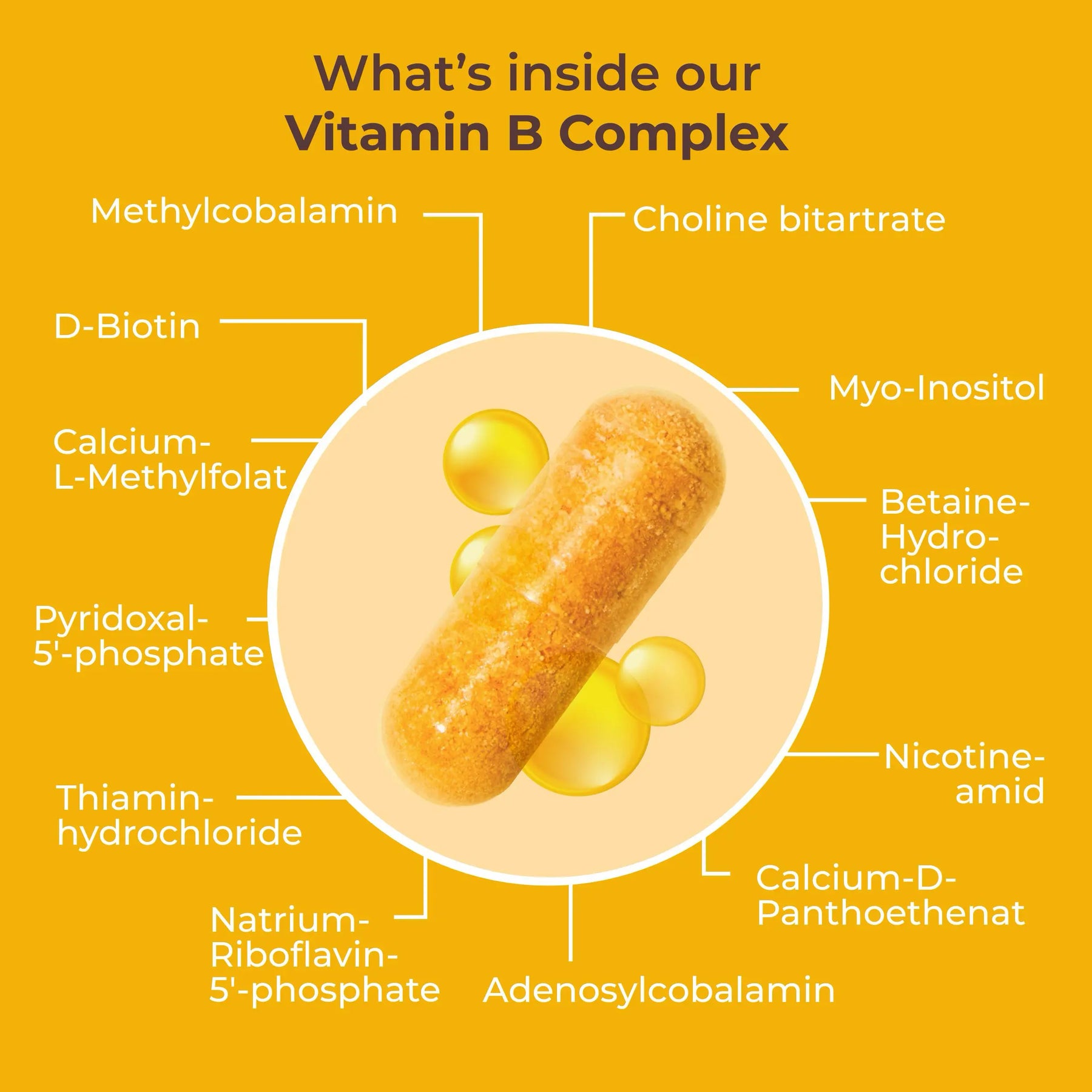 viktilabs-vitamin-b-komplex-forte-infografik-ingredients [lang-en]