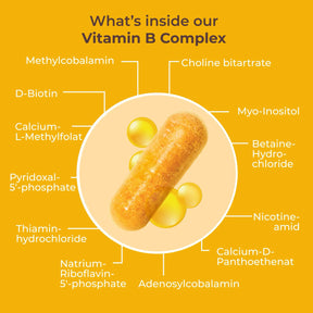 viktilabs-vitamin-b-komplex-forte-infografik-ingredients [lang-en]