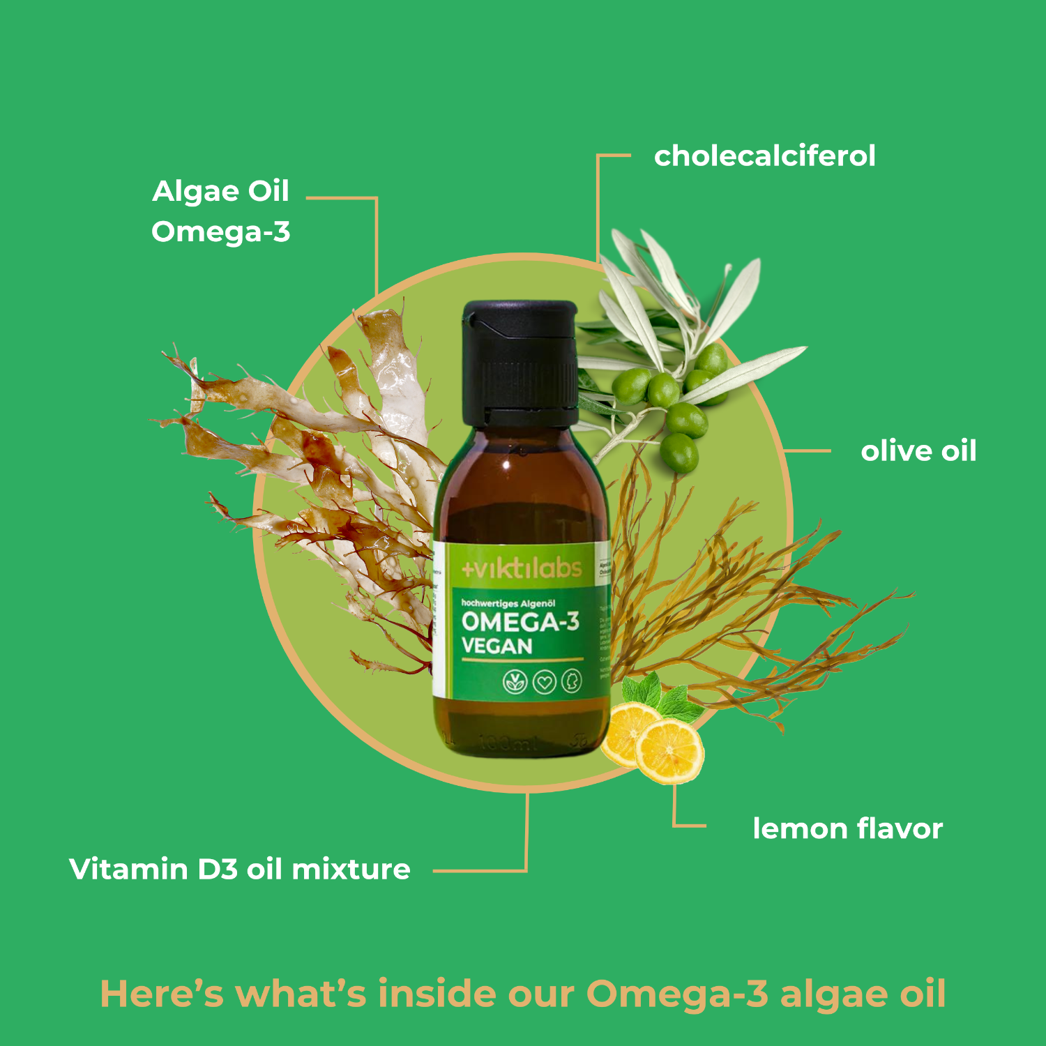 Englisch Omega 3 Alge 4 [lang-en]