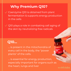 Englisch Q10 [lang-en]