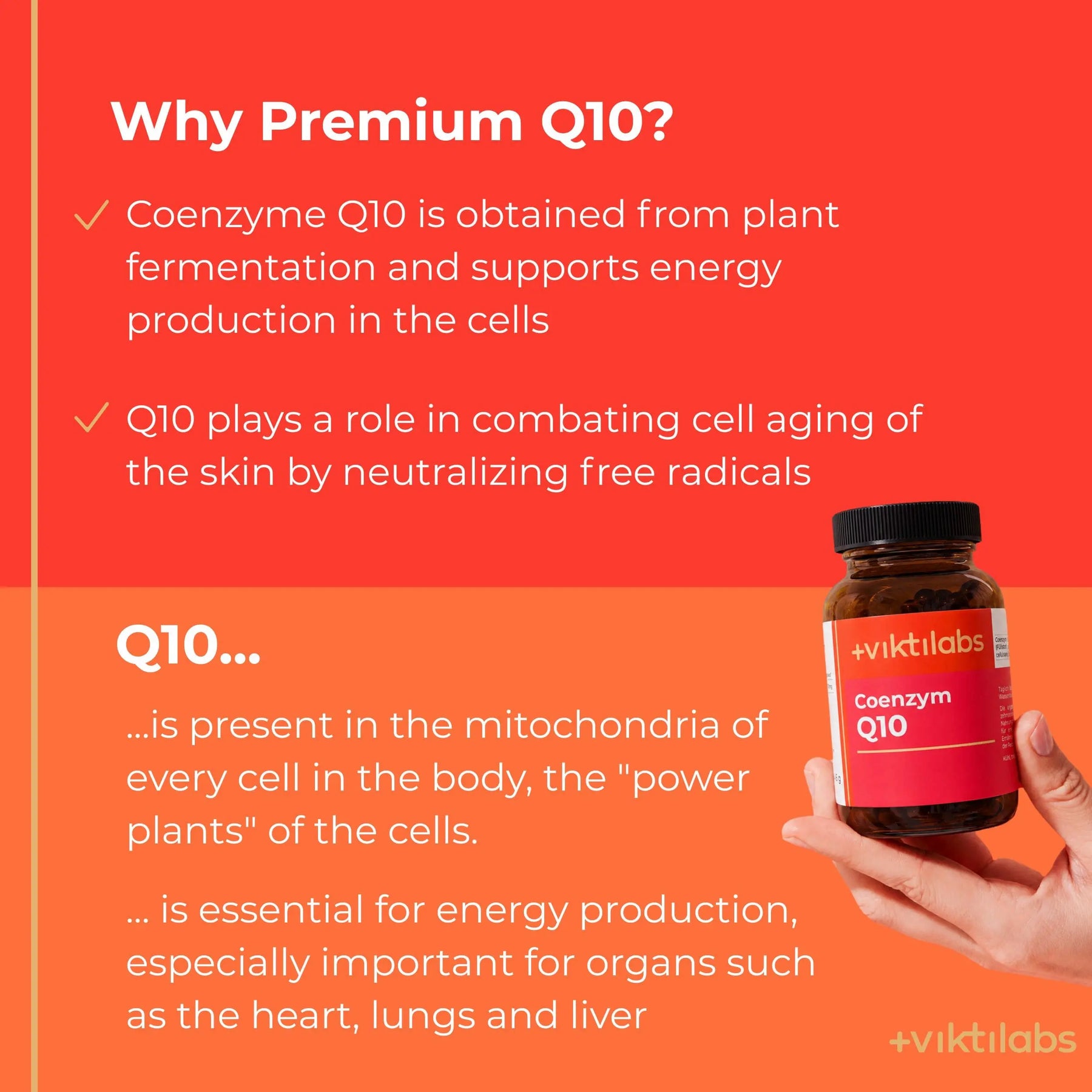 viktilabs-coenzym-q10-infografik-why-our-product [lang-en]