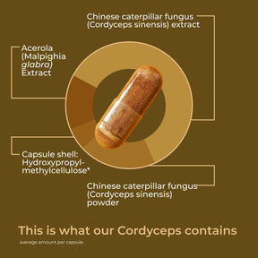 viktilabs-cordyceps-infografik-ingredients [lang-en]