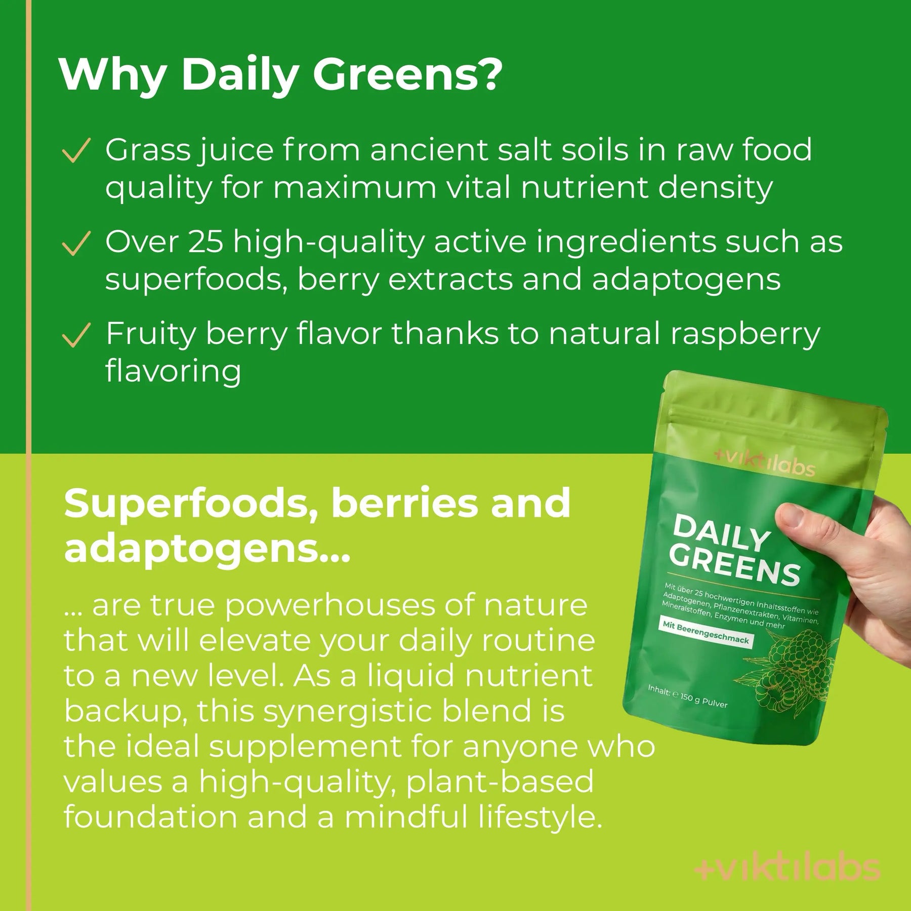 viktilabs-daily-greens-infographic-why-our-product [lang-en]