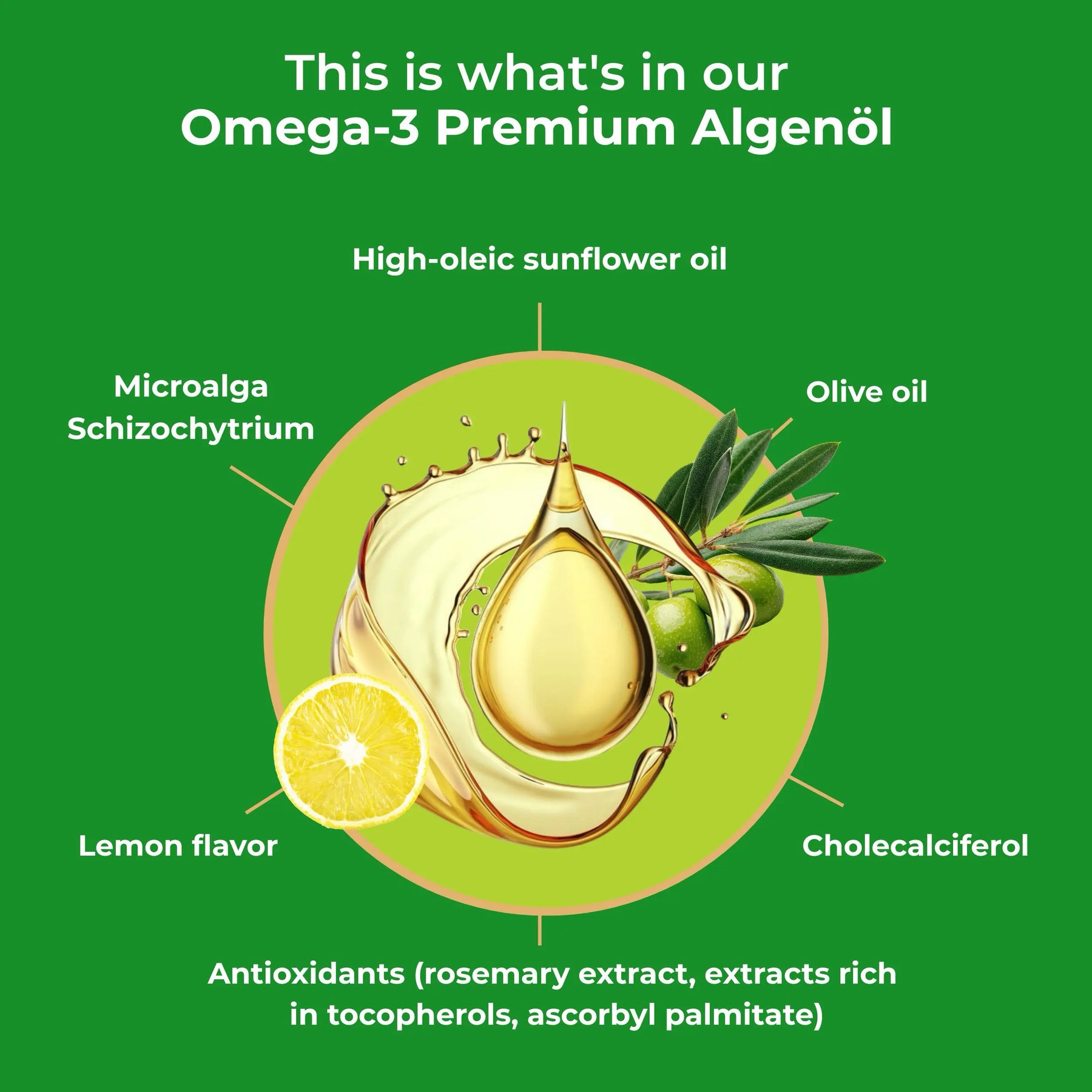 viktilabs-omega-3-vegan-infografik-ingredients [lang-en]