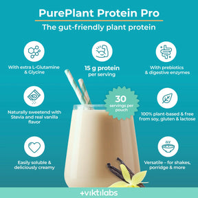 viktilabs-pure-plant-protein-pro-vanille-infografik [lang-en]